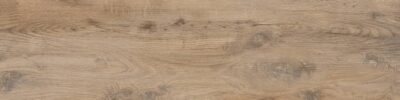 Nebraska Elm