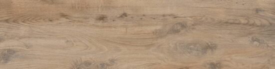 Nebraska Elm