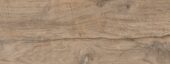 Nebraska Elm | Xana System