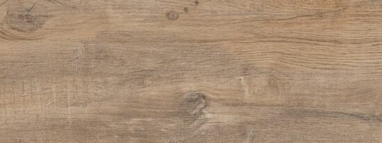 Nebraska Elm | Xana System