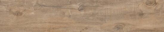 Nebraska Elm | Xana System