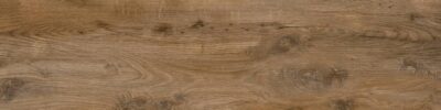 Nebraska Oak