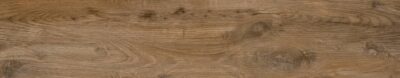 Nebraska Oak