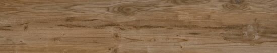Nebraska Oak | Xana System