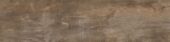 Pav. Rafter 24.8x100 Natural | Xana System