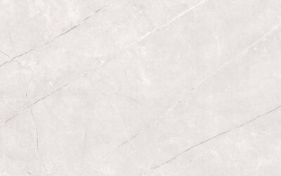 Rev. Minerva 25×40 Gris