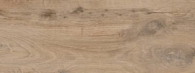 Nebraska Elm