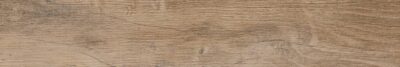 Nebraska Elm