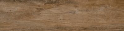 Nebraska Oak 20 mm