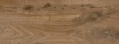 Nebraska Oak